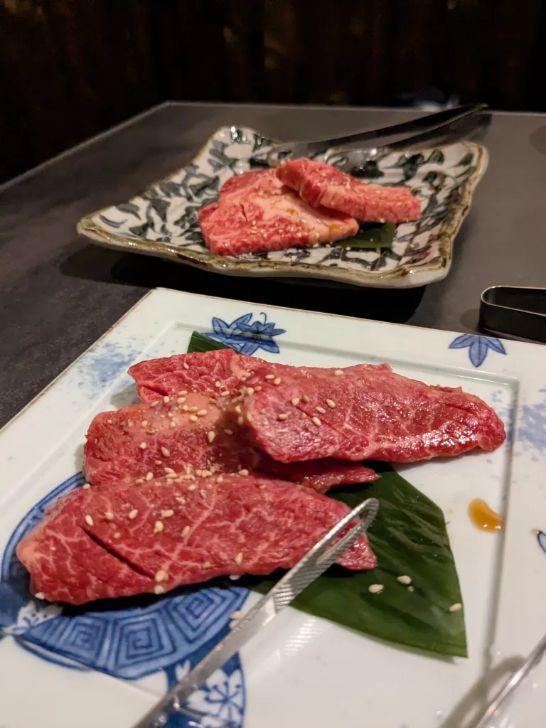 焼く前の二種類のお肉。